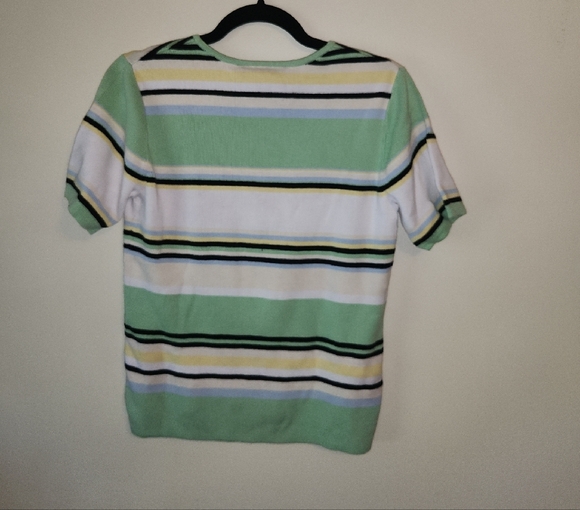 Sag Harbor Green Striped Short Sleeve Sweater - Picture 3 of 6
